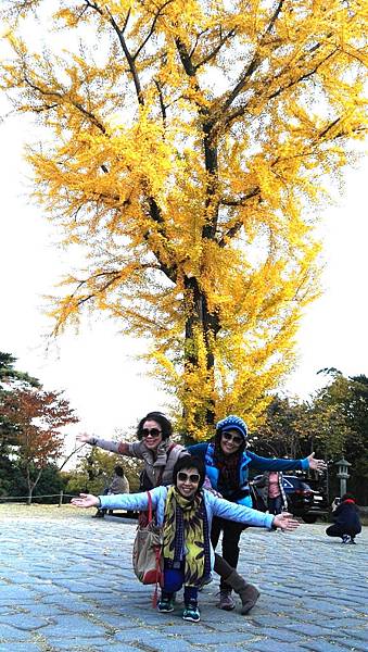 1510468492008_看图王_看图王.jpg 1510468492008_看图王_看图王.jpg