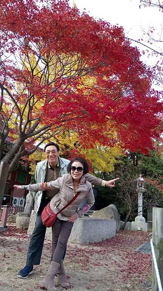 1510471660987_看图王.jpg 1510471660987_看图王.jpg