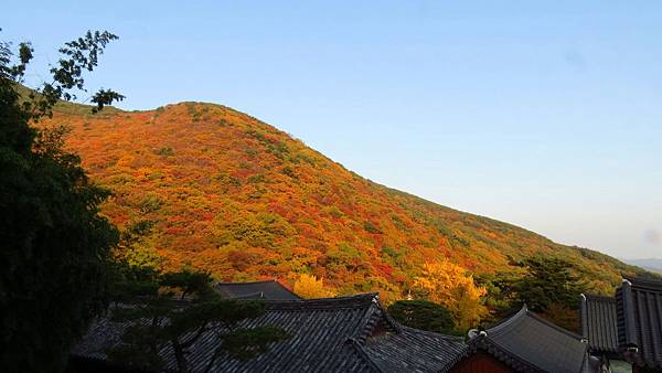 1510471902774_看图王.jpg 1510471902774_看图王.jpg