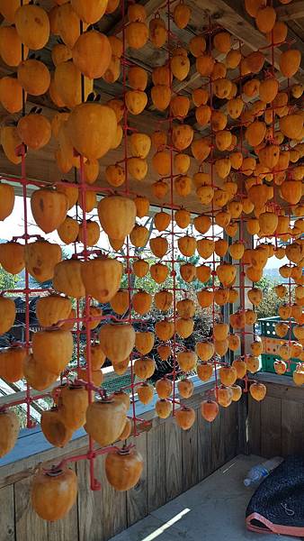 1510474108448_看图王.jpg 1510474108448_看图王.jpg