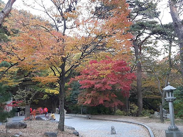 20171109_170936_看图王.jpg 20171109_170936_看图王.jpg