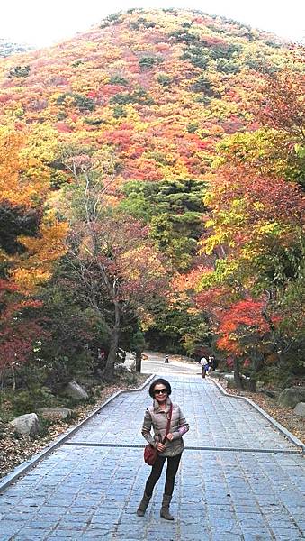 1510468534532_看图王_看图王.jpg 1510468534532_看图王_看图王.jpg