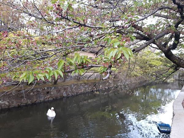 20180407_181555_看图王.JPG 20180407_181555_看图王.JPG