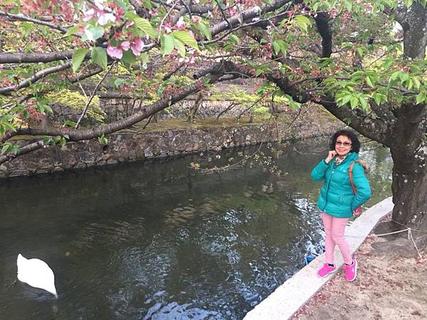 1523699208701_看图王.JPG 1523699208701_看图王.JPG