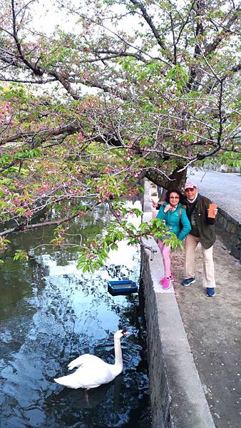 1523699287902_看图王_看图王.JPG 1523699287902_看图王_看图王.JPG