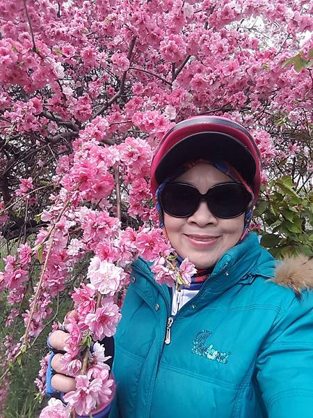 20180408_121602_看图王.JPG 20180408_121602_看图王.JPG