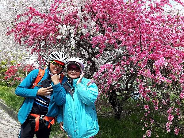 20180408_121733_看图王.JPG 20180408_121733_看图王.JPG