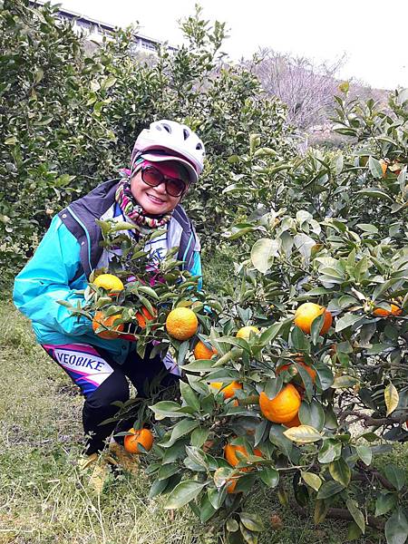 20180408_124811_看图王.JPG 20180408_124811_看图王.JPG