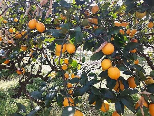 20180408_142835_看图王.JPG 20180408_142835_看图王.JPG