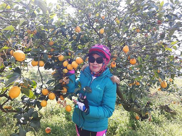 20180408_142859_看图王.JPG 20180408_142859_看图王.JPG