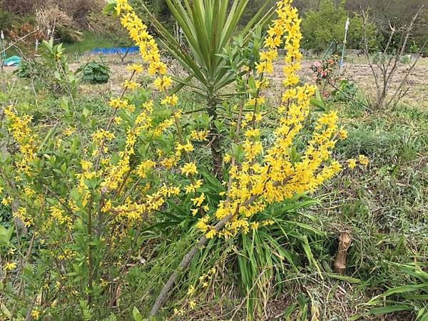 1523694154083_看图王.JPG 1523694154083_看图王.JPG