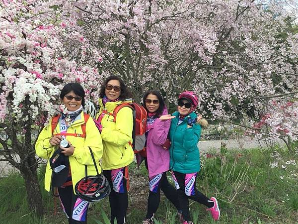 1523694175499_看图王.JPG 1523694175499_看图王.JPG