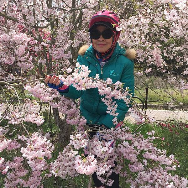 1523694214207_看图王.JPG 1523694214207_看图王.JPG