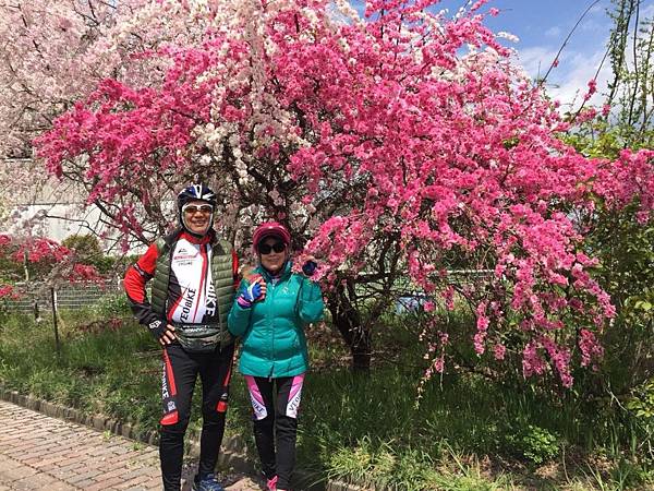 1523694228218_看图王.JPG 1523694228218_看图王.JPG