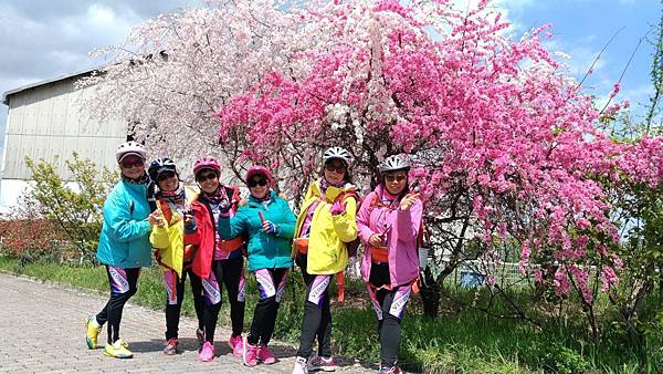 1523694368488_看图王.JPG 1523694368488_看图王.JPG