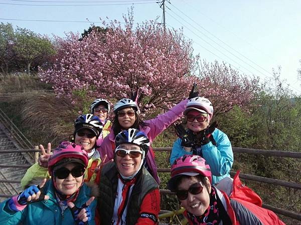 1523694512065_看图王.JPG 1523694512065_看图王.JPG