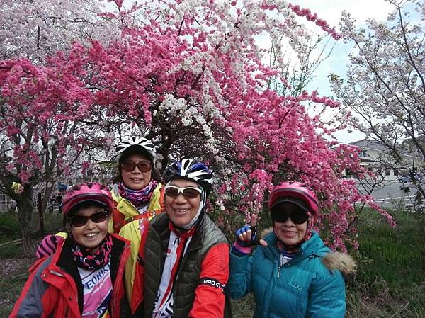 1523694681391_看图王.JPG 1523694681391_看图王.JPG