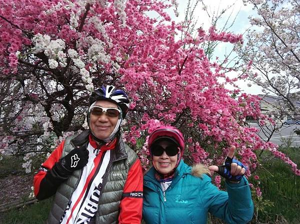 1523694692463_看图王.JPG 1523694692463_看图王.JPG