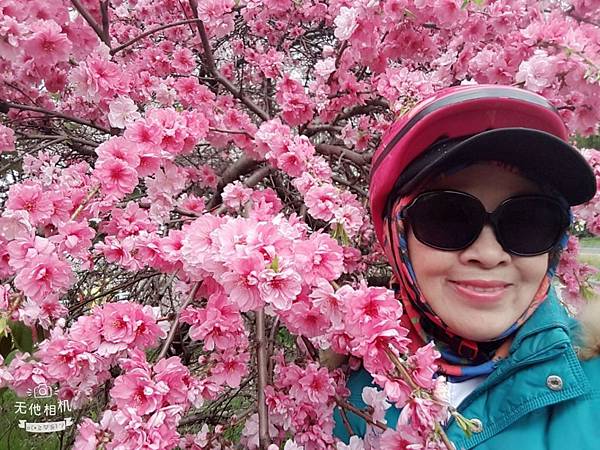 WuTa_2018-04-08_12-23-31_看图王.JPG WuTa_2018-04-08_12-23-31_看图王.JPG