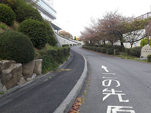 20180408_173439_看图王.jpg 20180408_173439_看图王.jpg