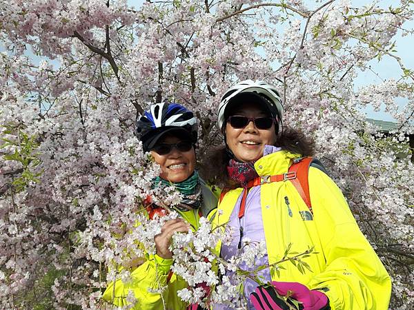 20180409_082647_看图王.JPG 20180409_082647_看图王.JPG