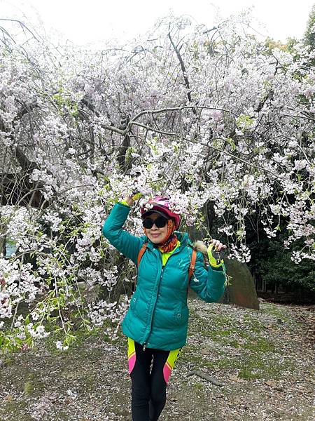 20180409_094655_看图王.JPG 20180409_094655_看图王.JPG