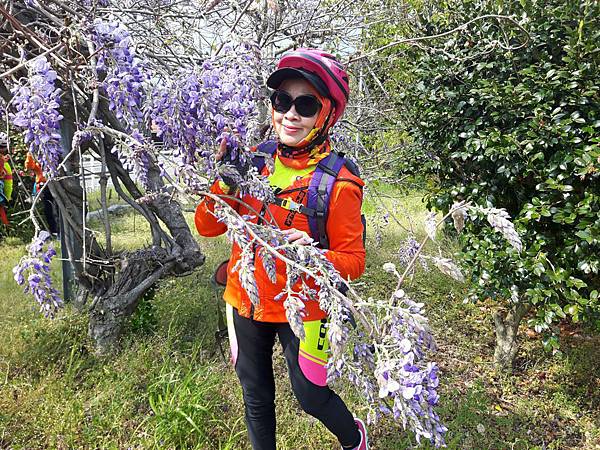 20180409_142011_看图王.JPG 20180409_142011_看图王.JPG