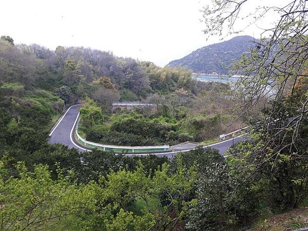 20180409_143534_看图王.JPG 20180409_143534_看图王.JPG