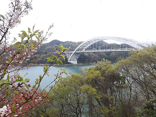 20180409_144613_看图王.JPG 20180409_144613_看图王.JPG