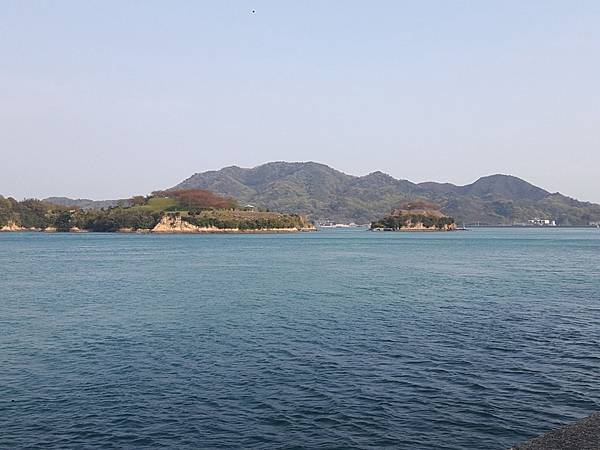 20180409_154852_看图王.JPG 20180409_154852_看图王.JPG