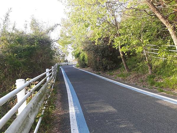 20180409_171823_看图王.JPG 20180409_171823_看图王.JPG