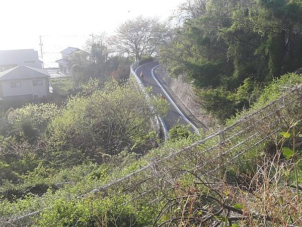 20180409_173100_看图王.JPG 20180409_173100_看图王.JPG