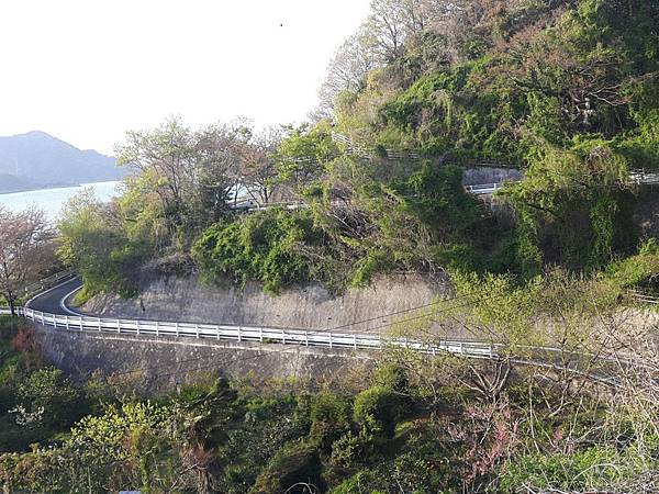 20180409_173208_看图王.JPG 20180409_173208_看图王.JPG