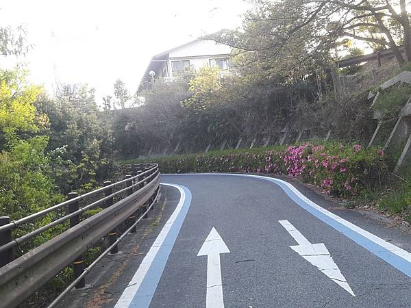 20180409_173358_看图王.JPG 20180409_173358_看图王.JPG