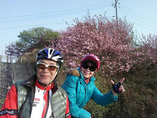 1523694519215_看图王.jpg 1523694519215_看图王.jpg