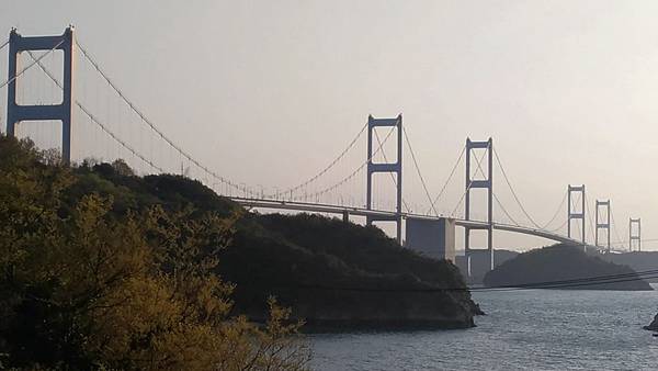 1523701702828_看图王.JPG 1523701702828_看图王.JPG