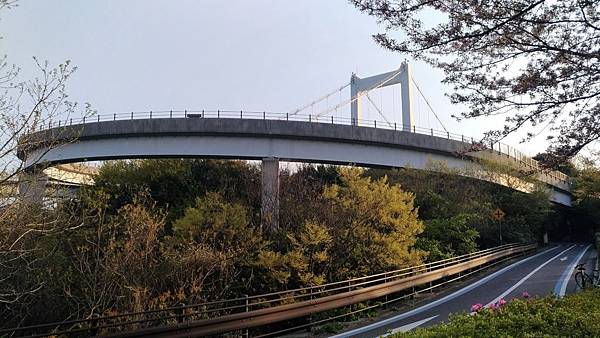 1523701734068_看图王.JPG 1523701734068_看图王.JPG