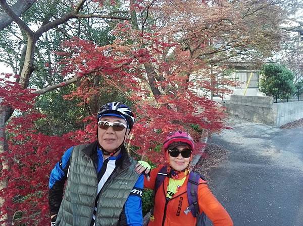 1523701953900_看图王.JPG 1523701953900_看图王.JPG