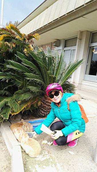 1523702285324_看图王.JPG 1523702285324_看图王.JPG