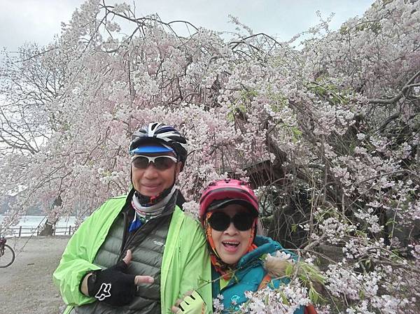 1523702401524_看图王.JPG 1523702401524_看图王.JPG