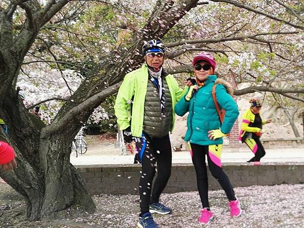 1523702425582_看图王.JPG 1523702425582_看图王.JPG