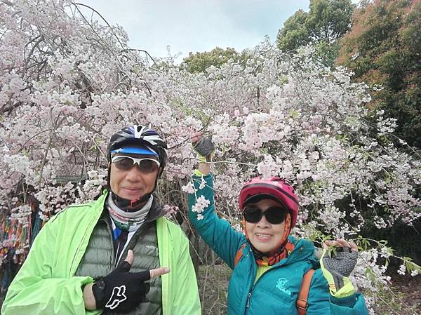 1523702416601_看图王.JPG 1523702416601_看图王.JPG