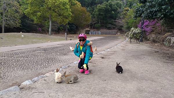 1523702784973_看图王.JPG 1523702784973_看图王.JPG