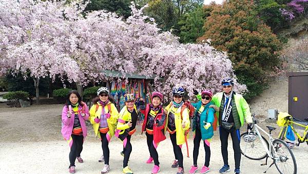 1523702932362_看图王.JPG 1523702932362_看图王.JPG