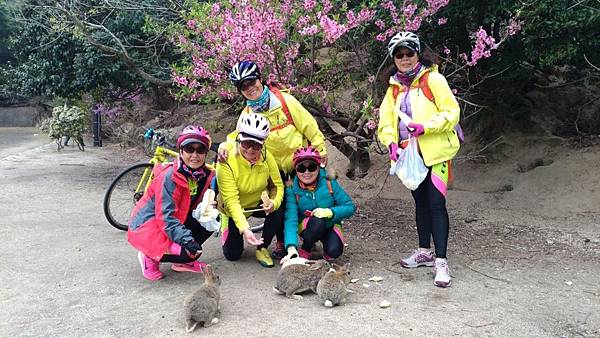 1523703052974_看图王.JPG 1523703052974_看图王.JPG