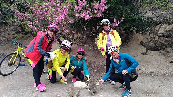 1523703055781_看图王.JPG 1523703055781_看图王.JPG