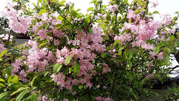 1523703196546_看图王.JPG 1523703196546_看图王.JPG