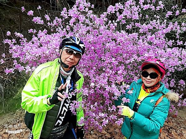 1523720030429_看图王.JPG 1523720030429_看图王.JPG