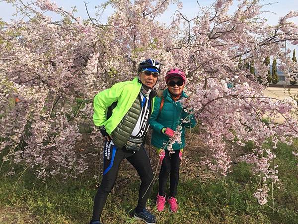 1523889791862_看图王.JPG 1523889791862_看图王.JPG