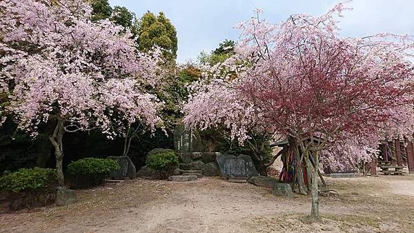 FB_IMG_1523431154632_看图王.JPG FB_IMG_1523431154632_看图王.JPG